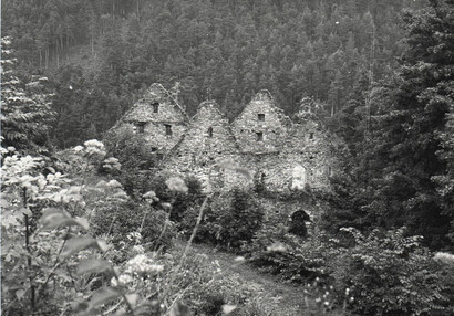 Archiv hrad Velhartice